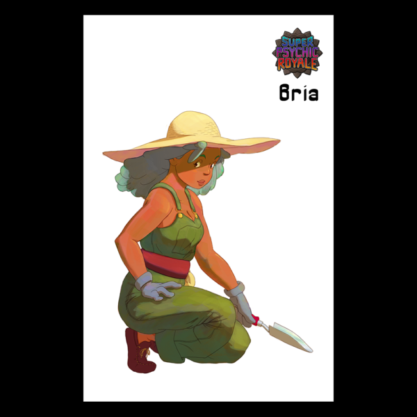 Bria Print ( 11" x 17" )